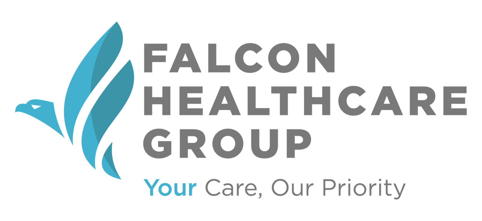 Falcon Health Group